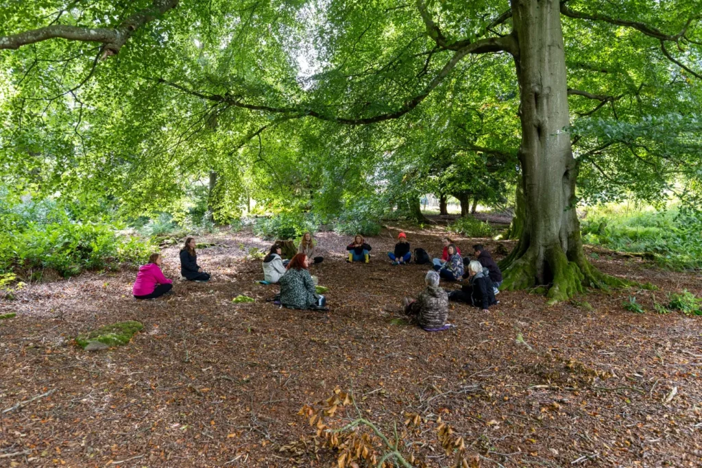 Forest Bathing at Minsteracres